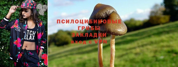 герыч Бородино