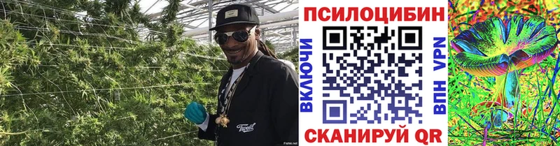 Купить закладки Краснослободск Псилоцибиновые грибы мицелий