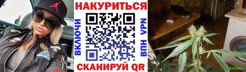 Марихуана сатива  Купить закладки  Краснослободск 